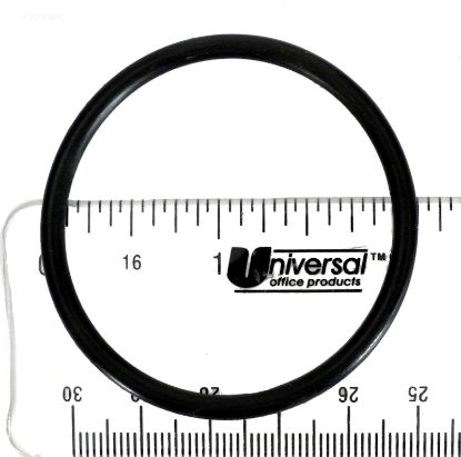 51005800: O-Ring Standpipe 1 1/2 V 51005800