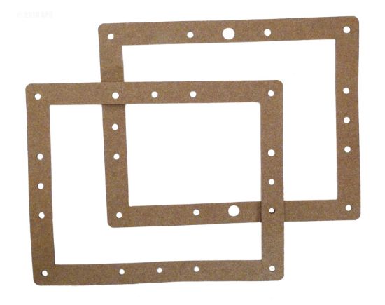 85001600: FACE PLATE GASKET 85001600