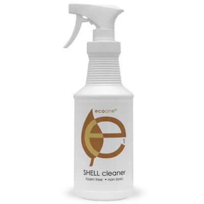 ECO8029: 1 QT ECOONE SPA SHELL &amp; LINER CLEANER ECO8029