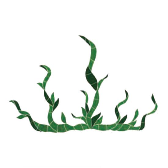 SGRGREOL: SEAGRASS GREEN 25 SGRGREOL