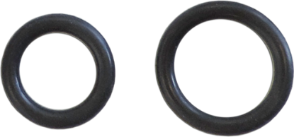 60-0028-K: O-ring, Kit, for Watkins Sensors (4 pcs)