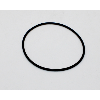 01522-66: O-RING, DIVRTR, LRG STEM