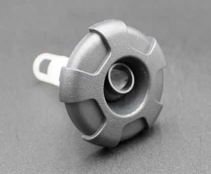 23426-017-000: Hot tub jet INSRT,CRWN, DIR,200,GG