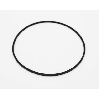 6500-290: O-RING, PMP VOLUTE,THRAMAX/FLO