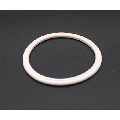 6541-078: O-RING, DBL, Hot tub jet BODY