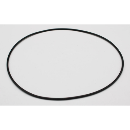 805-0164: O-RING, PUMP VOLUTE, EX2