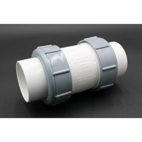 Flo-Control 2&quot; Check Valve 1790-20