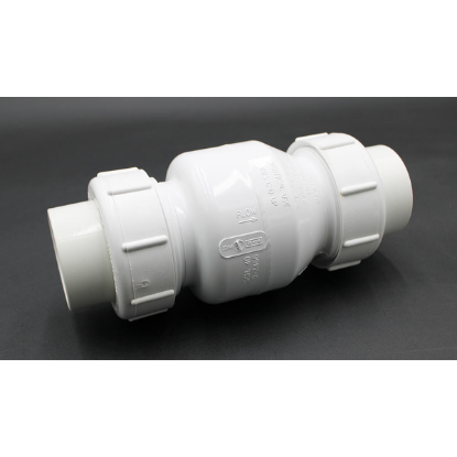Flo-Control 2" Swing Check Valve 1720-20