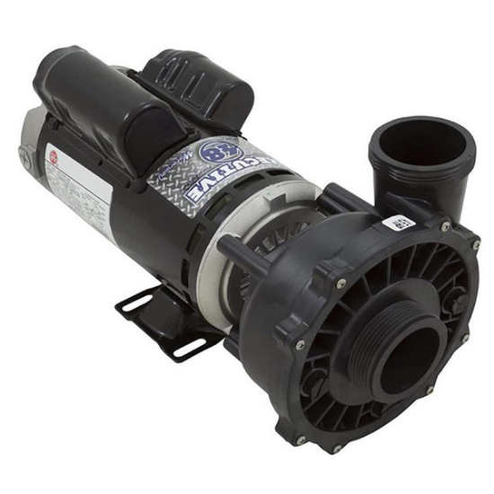 Waterway Executive 230V 2 Speed 48 Frame Pump 10-3421821-1A