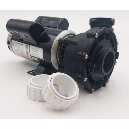 LX 48WUA 115V 2 Speed Pump 10-48WUA1501
