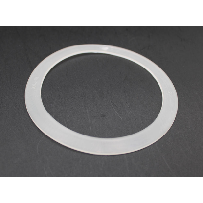 Waterway Old Faithful Jet Gasket 711-7300