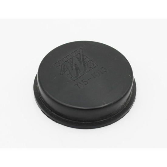 Waterway Filter Bypass Plug 1.5" 715-1010