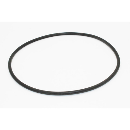Pump Volute O-Ring Spa Flo Pump Wet Ends 805-0248