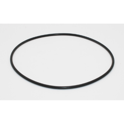 Pump Volute O-Ring Hi Flo Pump Wet Ends 805-0256