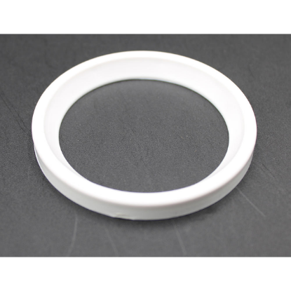 Pentair Cyclone Micro Compensator Ring 956300