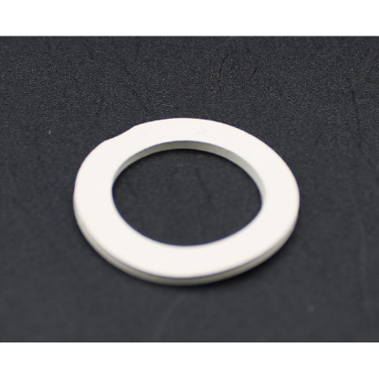 Coleman Spa Air Injector Gasket 100643