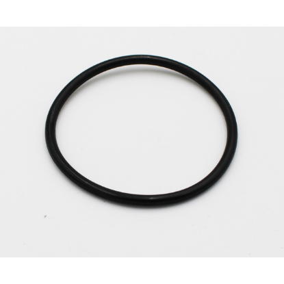 Pump Adapter O-Ring for Pumps/Heaters 60-805-0229
